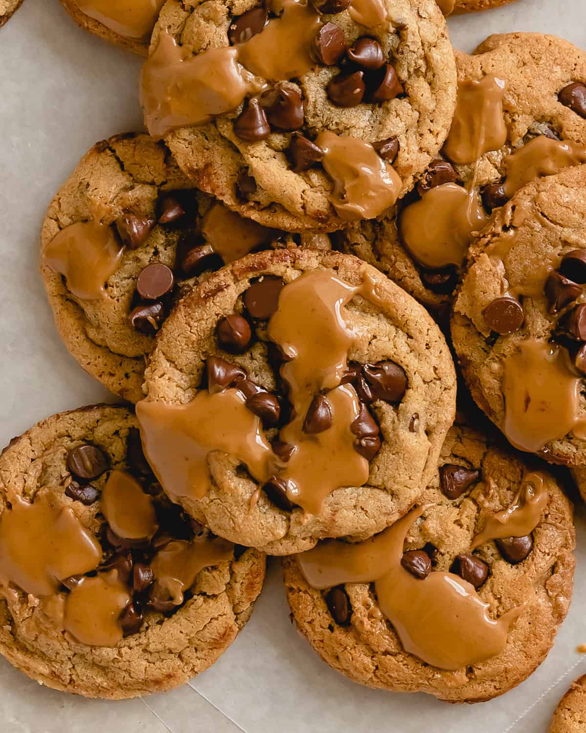 Biscoff Butter Cookie with Chocolate Chips and pools of cookie butter on top. 