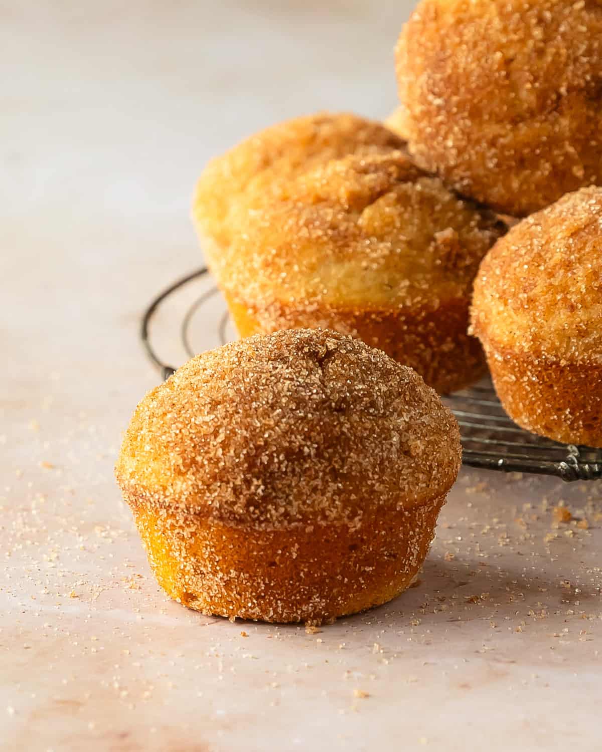 Cinnamon muffins are deliciously soft, moist and fluffy cinnamon spiced vanilla muffins with beautiful domed tops.  Once baked, these delightful breakfast muffins are dipped in melted butter and rolled in cinnamon sugar. They’re quick and easy muffins that are perfect for breakfasts or snacks. 