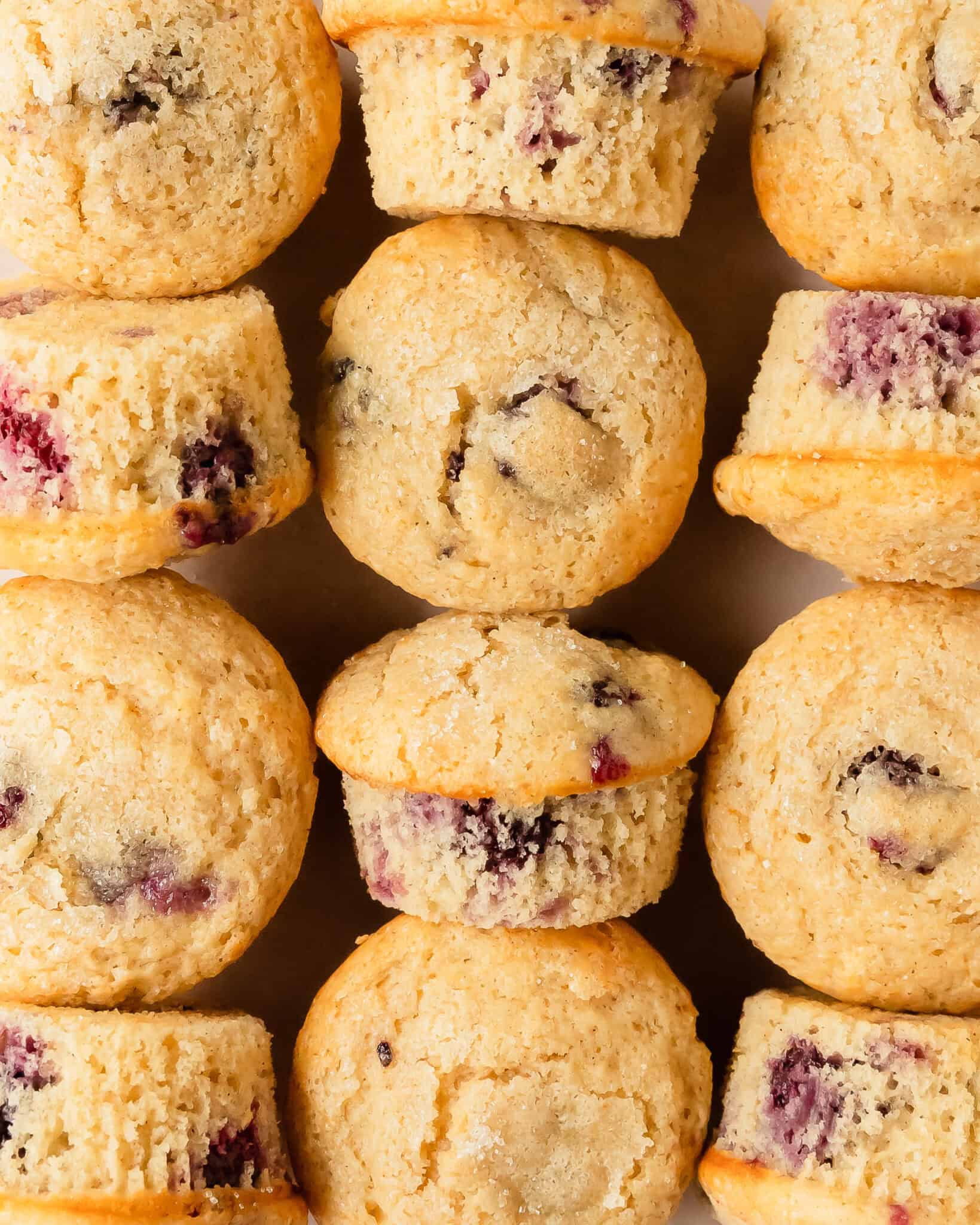 Blackberry Muffins (Easy, Moist and Fluffy Recipe) - Olives + Thyme