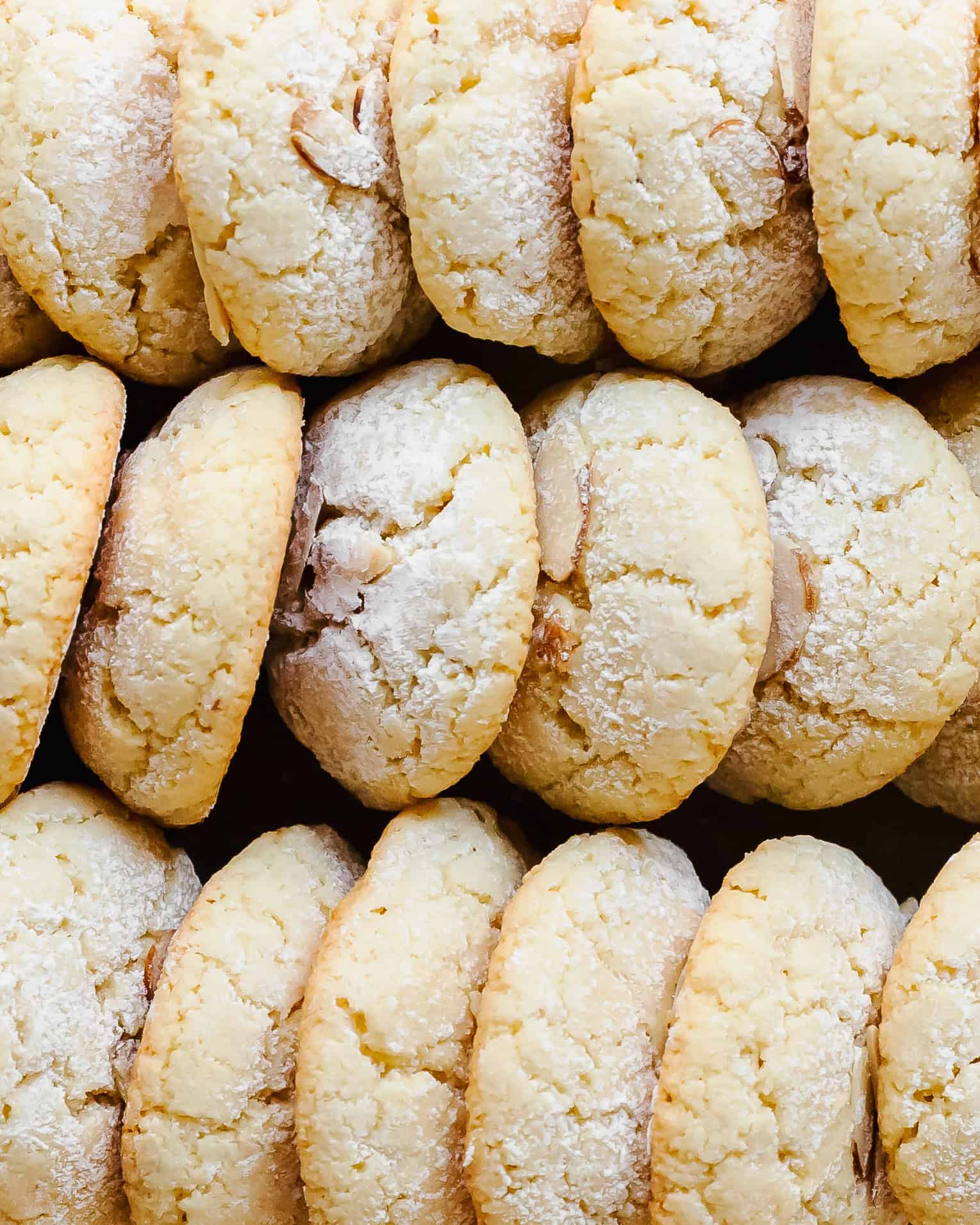 Rows of almond cookies.