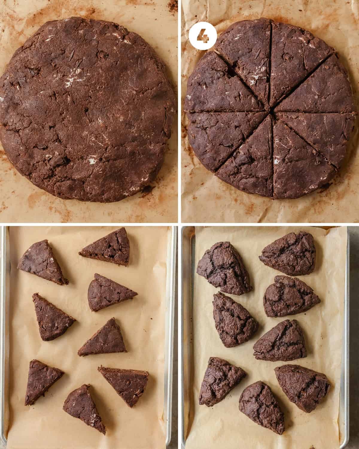 Remove the scones from the freezer and cut into 6 - 8 wedges using a dough scraper or long sharp knife. Space the scones about 2 - inches apart on a lined baking sheet. Bake in the oven at 425 F (218 C) for 12 - 16 minutes. Scones should be a slightly darker brown and will be very fragrant. Allow scones to cool for 5 minutes on the baking sheet before transferring them to a cooling rack. Make the scones even better by topping them with a creamy chocolate glaze. Mix powdered sugar, cocoa powder and milk to your desired consistency. Then drizzle the glaze on the cooled scones and enjoy.