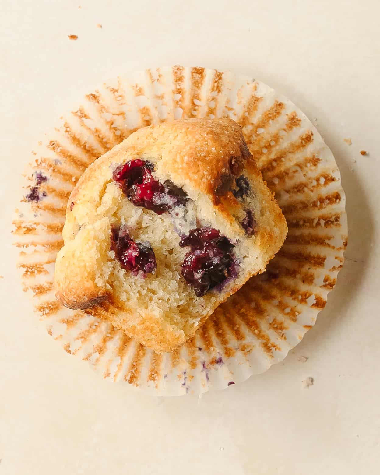 Bakery-style cottage cheese blueberry muffins with domed tops.
