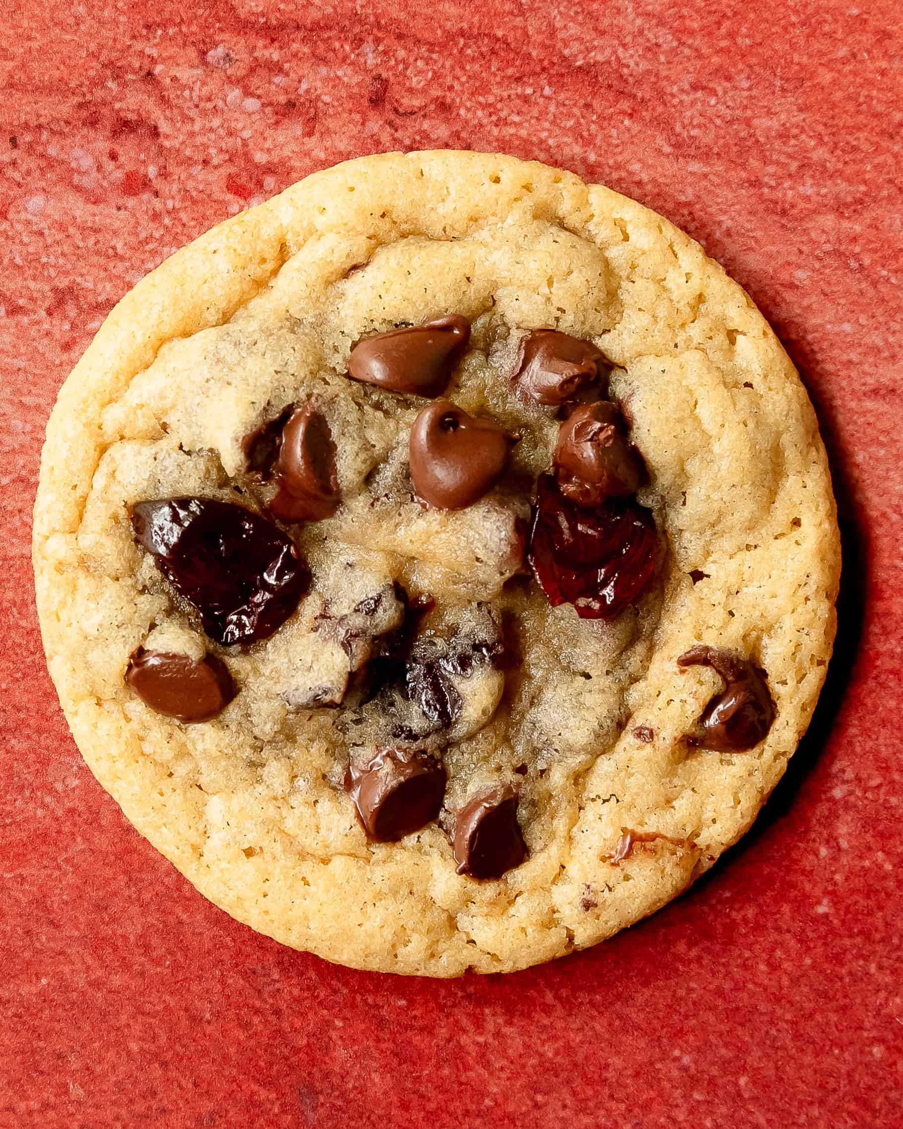 Close-up of a cherry chocolate chip cookie showing melted chocolate chips and chopped cherries.