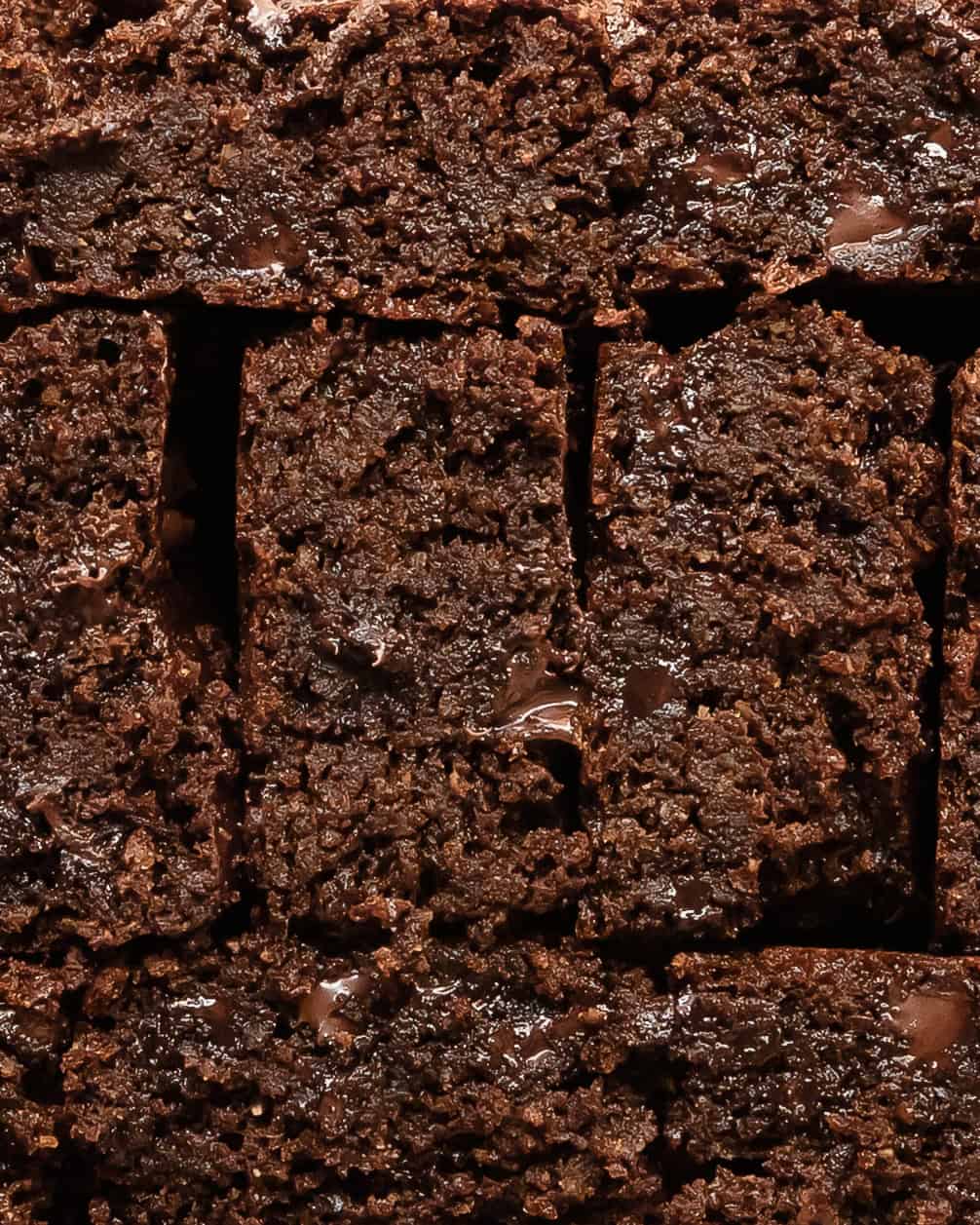 Thick chocolate brownies made with blended cottage cheese.