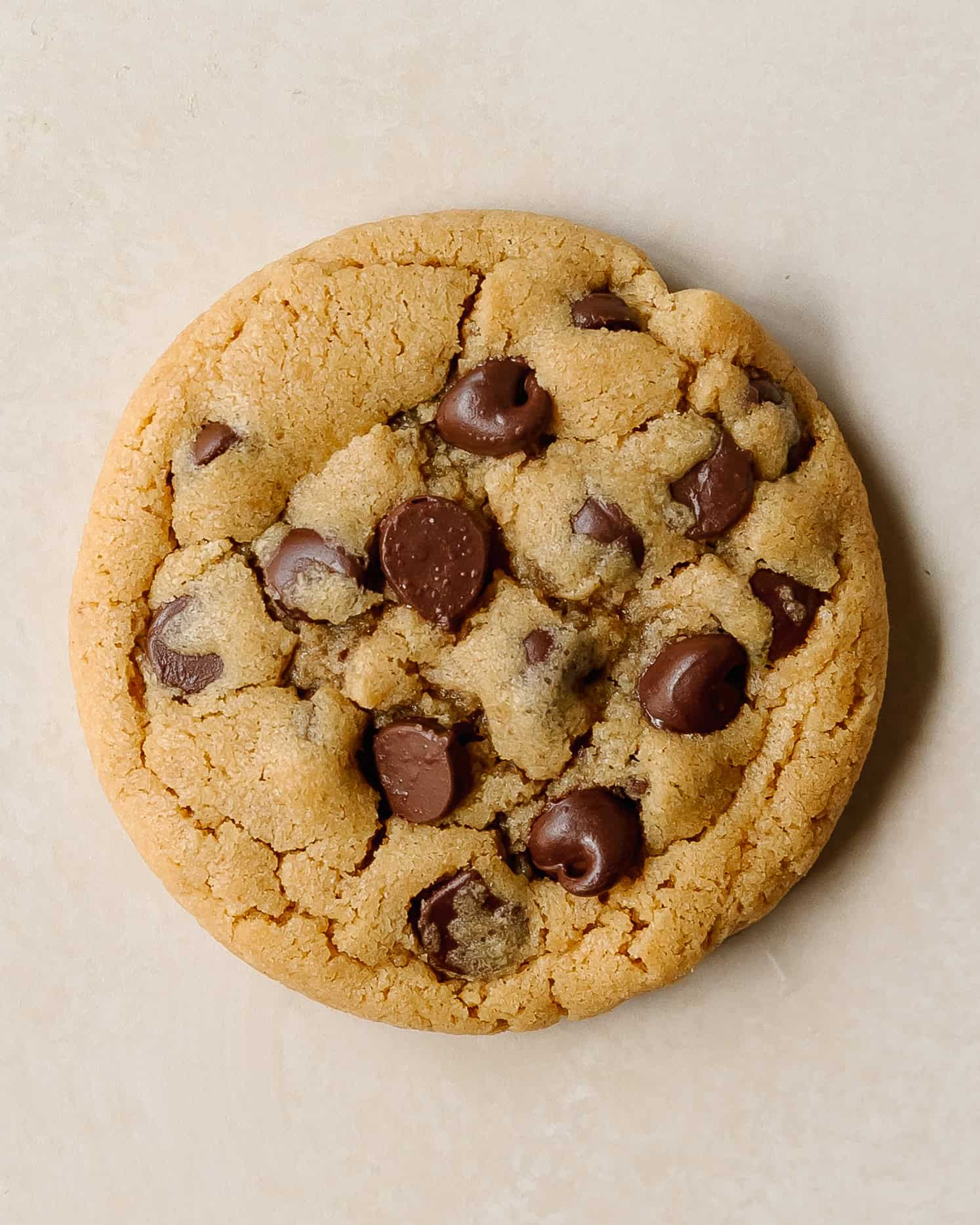 Bakery-style peanut butter chocolate chip cookies with gooey melty chocolate chips.