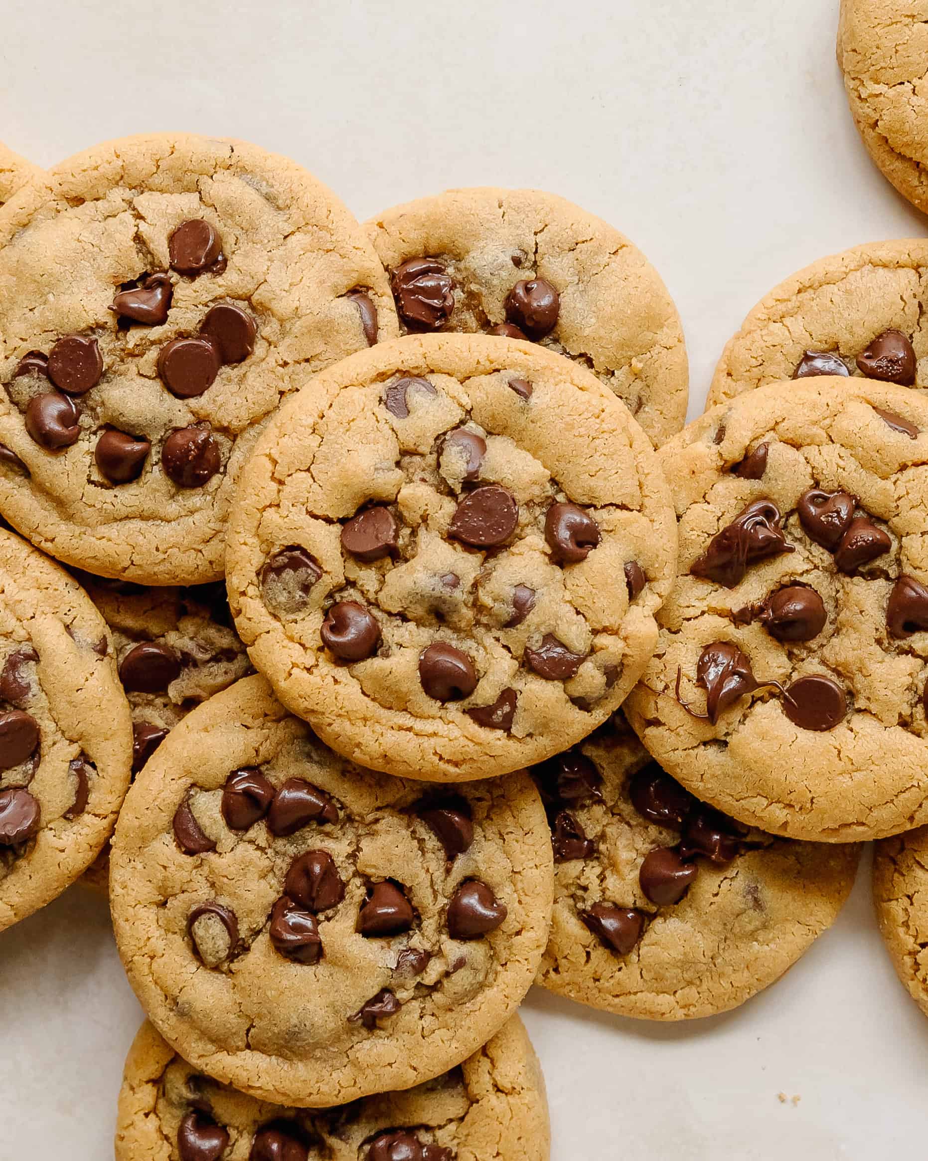Close up of soft peanut butter chocolate chip cookies filled with gooey chocolate chips.