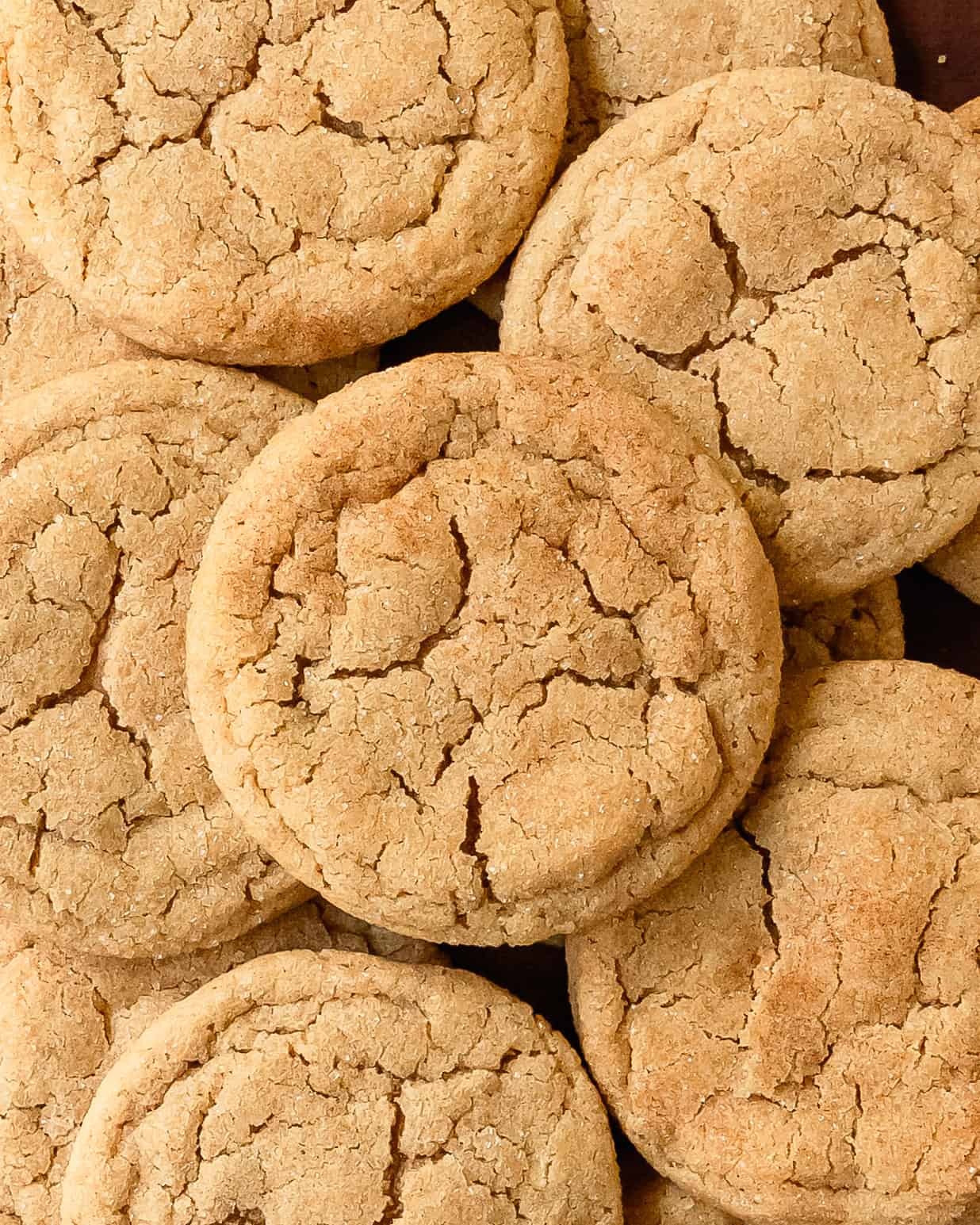 Close up of soft cinnamon sugar cookies with crinkle tops and a crunchy cinnamon sugar coating.