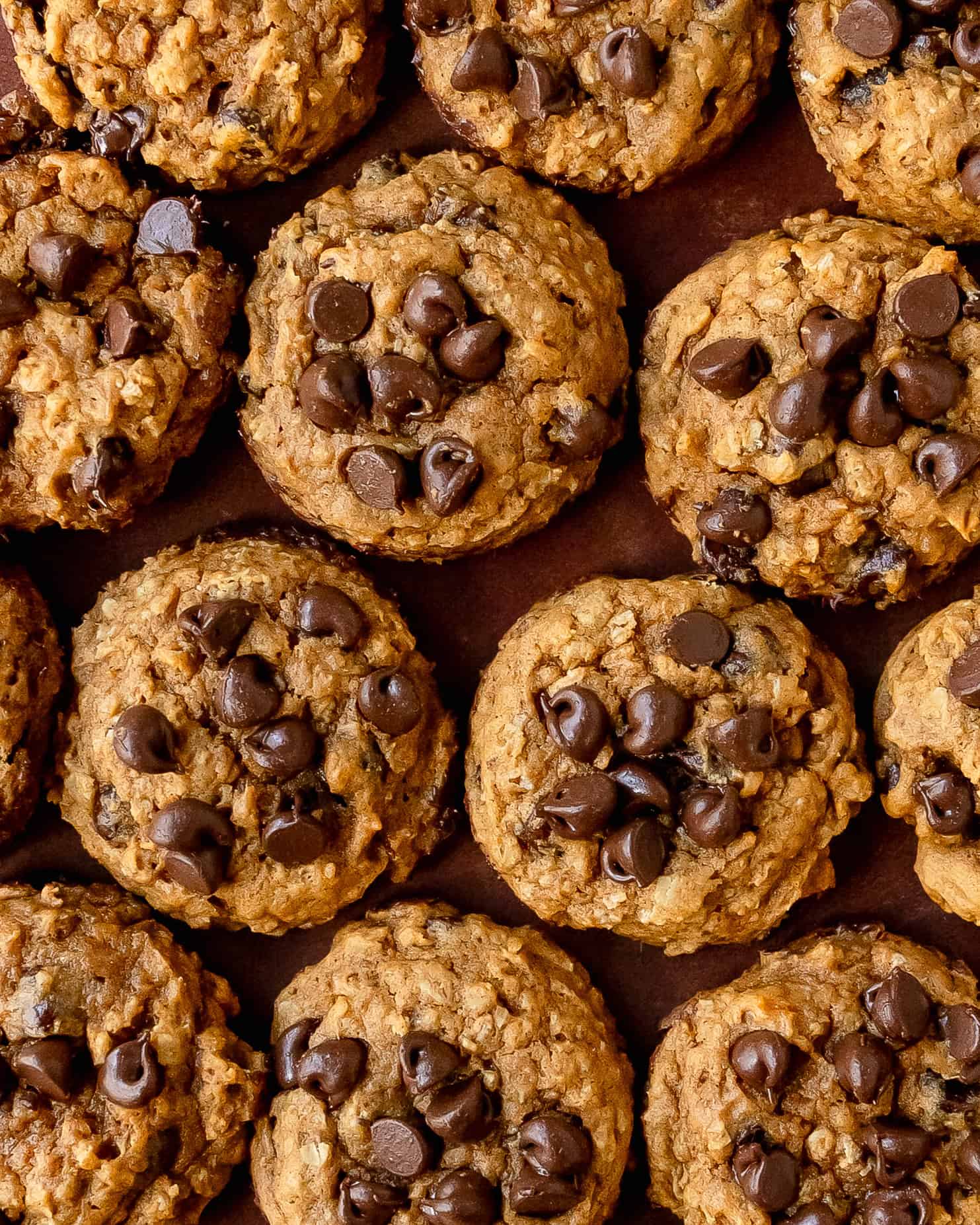 Golden sweet potato cookies freshly baked for fall and holiday gatherings.